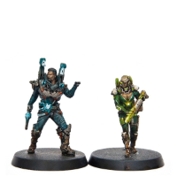 Painted Heroes (core box + Stretch goals) - painting pledge only!